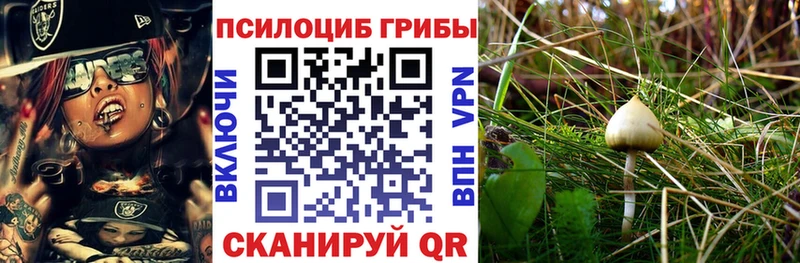 Псилоцибиновые грибы Magic Shrooms  Купить  Рязань 